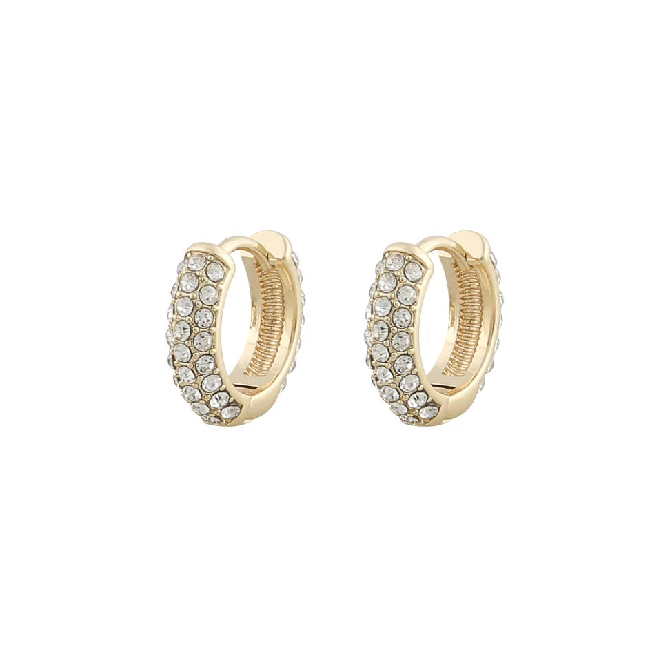 Wednesday Earring
