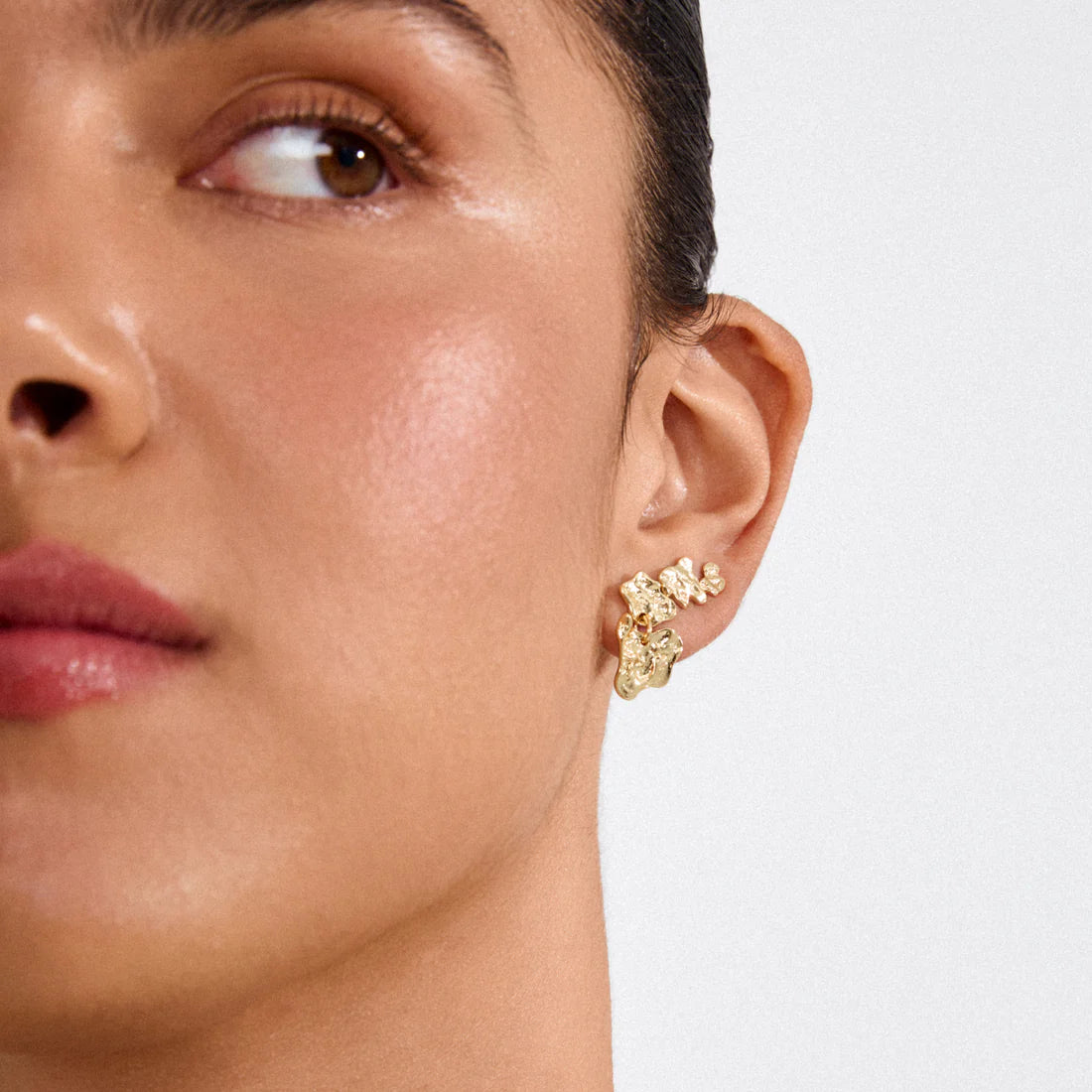 Horizon Earrings Pilgrim